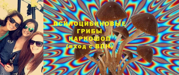 твердый Дмитровск